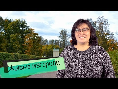 Видео: Живые изгороди.