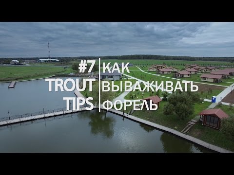 Видео: Trout Tips #7. Вываживание форели