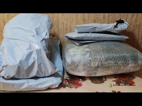 Видео: Посылочки с TEMU и КАСПИЙ #temu #kaspi #распаковкаиобзор #распаковкапосылок #обзорпокупок #обзор