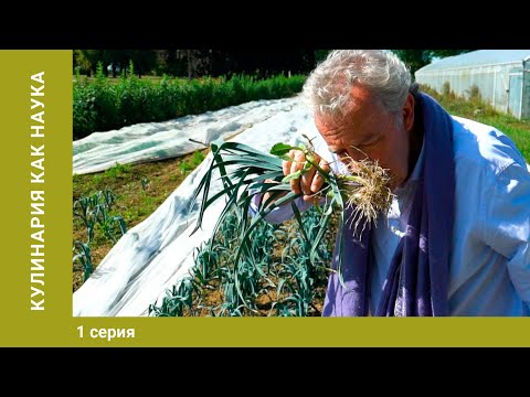 Видео: Кулинария как наука. 1 Серия. Научно - Познавательный Фильм. Лучшие Документальные Фильмы