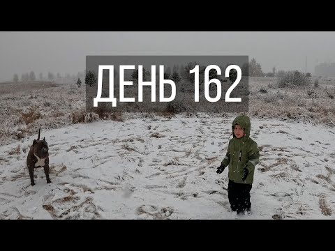 Видео: День 162