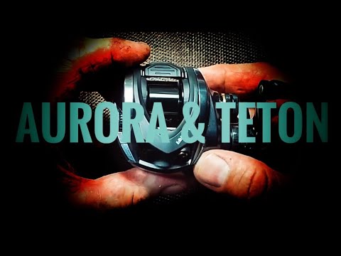 Видео: DSH761 HISTAR AURORA & KUYING TETON TTC 602UL. Студийный обZZZор