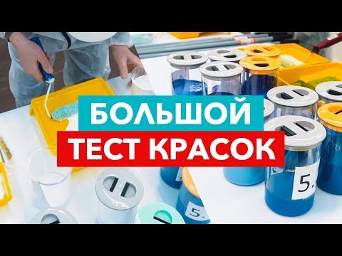 Видео: Тестируем краску для стен с профессионалами