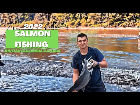 Видео: Словил монстра в реке | Рыбалка на лосося в реке Канады British Columbia | Лицензия на рыбную ловлю