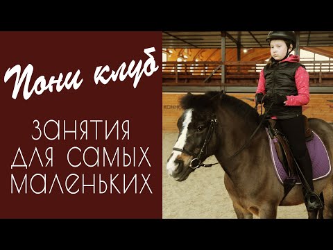 Видео: Тренировка Пони клуб КСК Звёздный. Тренер Георгий. Школа верховой езды для самых маленьких.