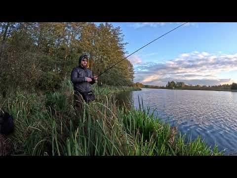 Видео: Друзі зранку відловилися, а я після обіду ледь пішов від нуля.