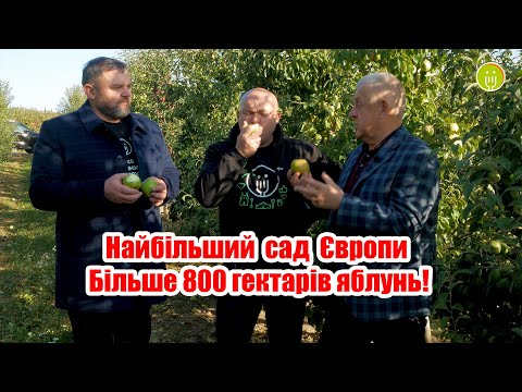 Видео: Експерт Владзьо у найбільшому саду Європи. Більше 800 гектарів яблунь!