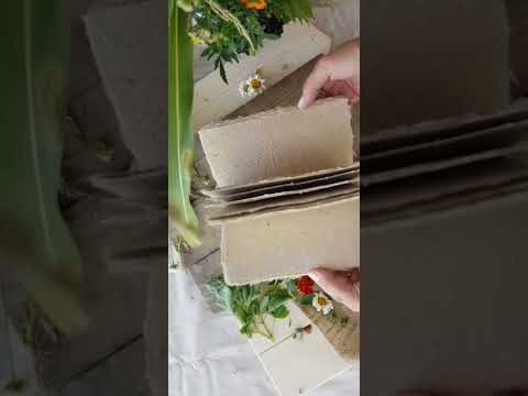 Видео: #севернаяосетияалания #измосквывдеревню бумага ручного литья из горных трав