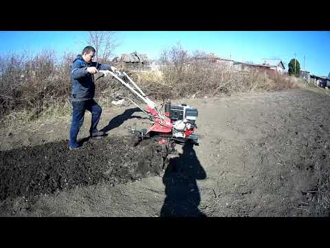 Видео: Мотоблок "БРАЙТ".Пробуем в огороде.Работаем с удовольствием!!!!!!!