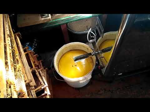 Видео: Воскотопка Гуслий Ю. М. - вытопка воска из темных рамок.