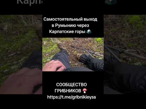Видео: Самостоятельный выход в Румынию через Карпатские горы🏔