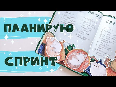 Видео: 🐈Оформление ежедневника КОТИКАМИ🐈😍 Планируем новый СПРИНТ💪🍀Новое КОЛЕСО БАЛАНСА😱✨Стикеры NKS