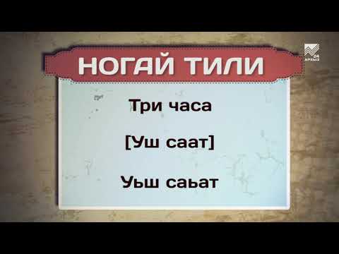 Видео: Разговорник (ногайский язык) (12.12.2018)