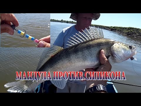 Видео: МАНДУЛА ПРОТИВ САМОПАЛЬНОГО СИЛИКОНА.  ТЕСТ ПРИМАНОК.  РЫБАЛКА НА АХТУБЕ.  НИЖНЯЯ ВОЛГА
