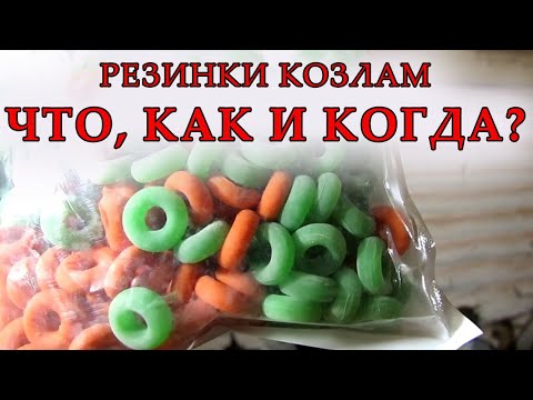 Видео: Про кастрацию козлят