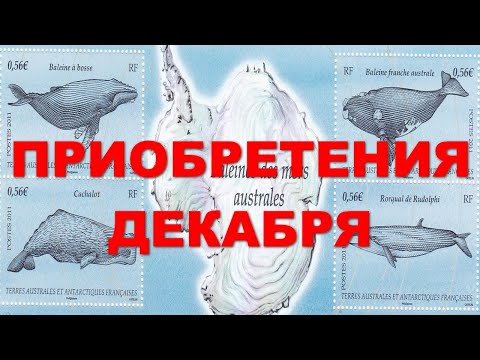 Видео: Декабрьские приобретения