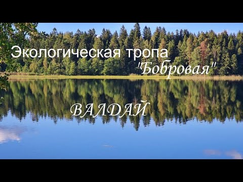 Видео: Экологическая тропа "Бобровая"  Валдай