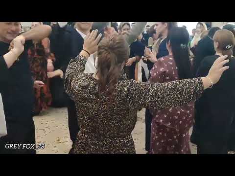 Видео: Маммаев Мамма-Акушинка...Сулевкент. {26.10.2025}