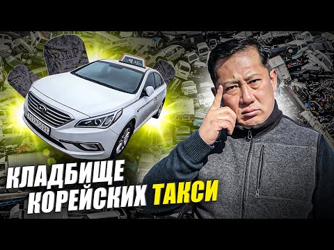 Видео: Что можно получить из Кореи, если не проверить перед покупкой