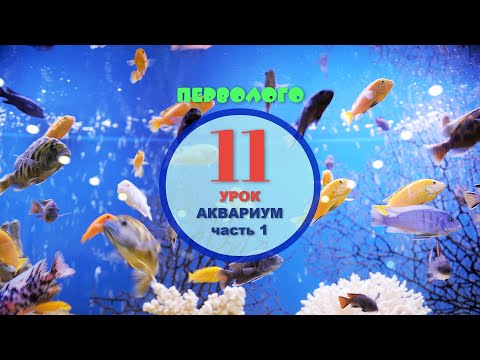 Видео: ПервоЛого. Аквариум - часть 1
