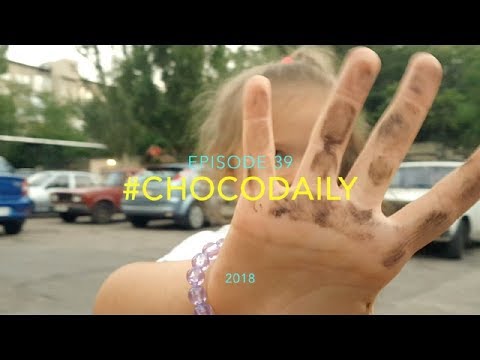 Видео: #CHOCODAILY 39 Собираем не спеша
