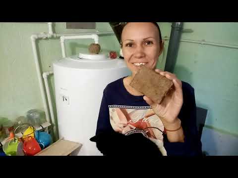 Видео: Делаем твердое мыло на растительных маслах и щелоке.