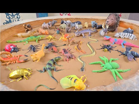 Видео: Muddy Explorers & Buggy Grins: исследуем фермы, леса и королевство крошечных насекомых!