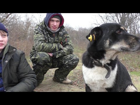 Видео: Сходили на рыбалку! Повстречали КОТА И СОБАКУ и ДАЖЕ НАШЛИ БЕЛЫЙ ГРИБ В ЛЕСУ!