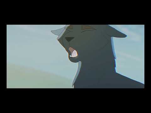 Видео: Коты-воители клип || Идеальный Мир || 1,8К подписчиков!