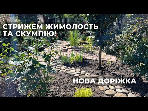 Видео: Стрижем жимолость та скумпію! Нова доріжка.