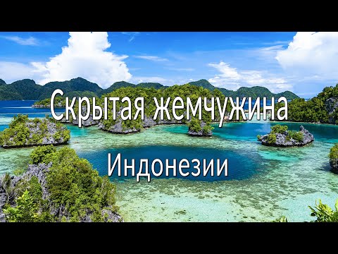 Видео: Затерянные острова у берегов Сулавеси. Морские цыгане, гигантские моллюски и кокосовые крабы