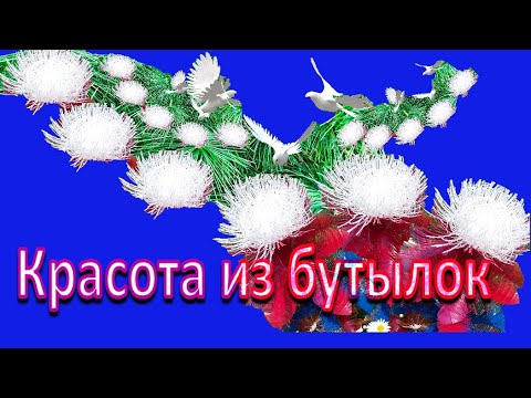 Видео: Самые КРАСИВЫЕ Цветы из БУТЫЛОК!!!