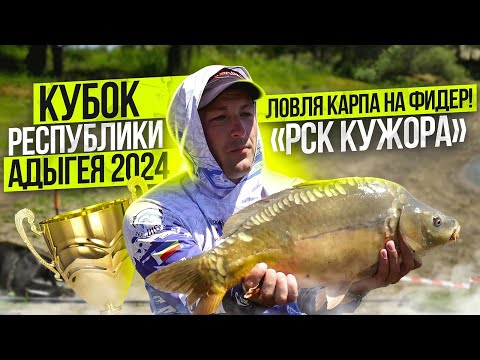 Видео: Ловля карпа на фидер! «РСК Кужора» . Кубок Республики Адыгея 🏆 2024