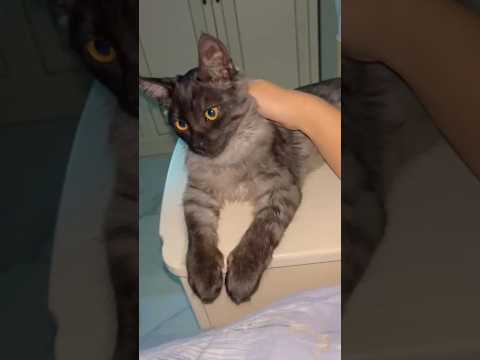 Видео: вы так же??😁😁😁