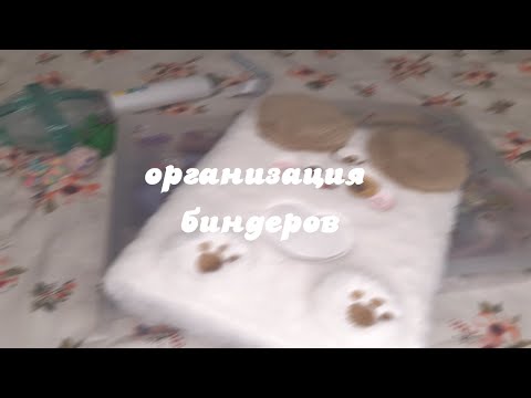 Видео: ♡ организация биндеров txt, stray kids ♡ биндер тур ♡