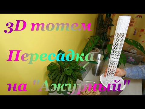 Видео: 3D тотем Пересадка на Ажурный