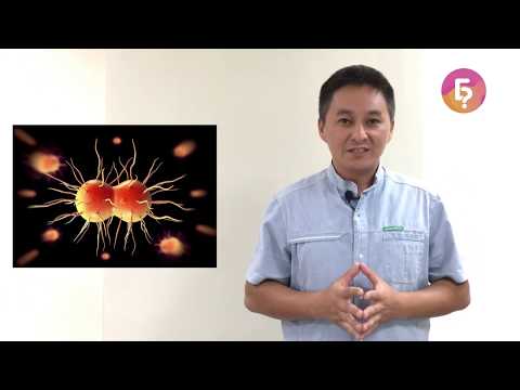 Видео: Жыныстык катнаш аркылуу жугуучу инфекциялар тууралуу уролог айтып берет