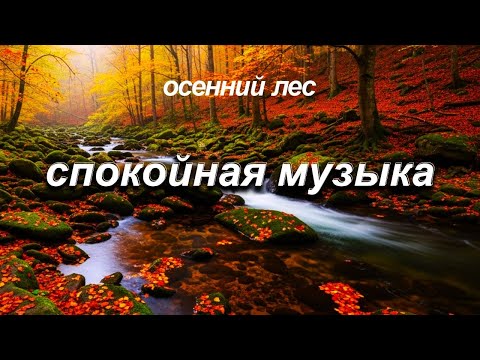 Видео: Спокойная расслабляющая музыка 🌿 Звуки природы и лёгкое пианино для сна и внутреннего покоя