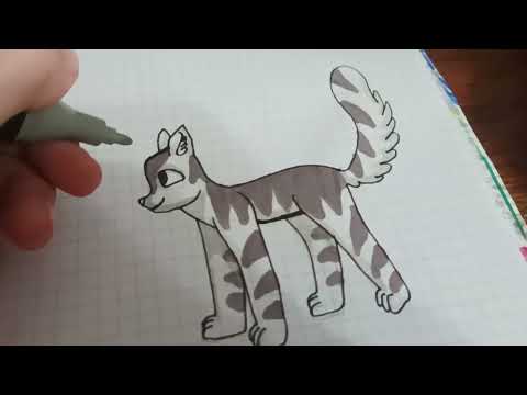 Видео: рисую котика часть 1