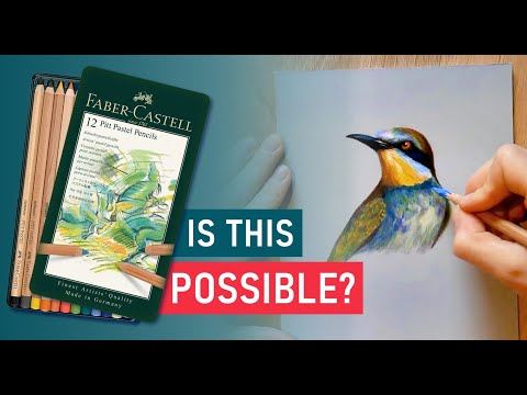 Видео: Как нарисовать птицу | Набор из 12 пастельных карандашей | Урок для начинающих