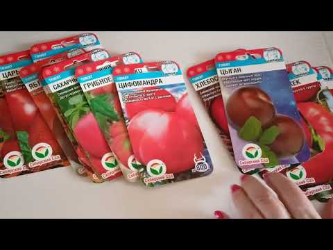 Видео: Популярные среднерослые сорта томатов от Сибирского сада. 09.03.2023