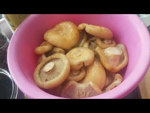 Видео: Засолка  желтых груздей холодным способом.