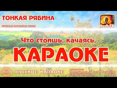 Видео: Караоке - "Тонкая рябина " Русская Народная песня Новая