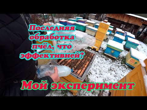 Видео: ЧЕМ ОБРАБОТАТЬ ПЧЁЛ ОТ КЛЕЩА ЭФФЕКТИВНЕЙ ДЫМ ПУШКОЙ ИЛИ ПОЛИВОМ В КОНЦЕ СЕЗОНА, РАСПРОДАЖА БИНЕНХАУС