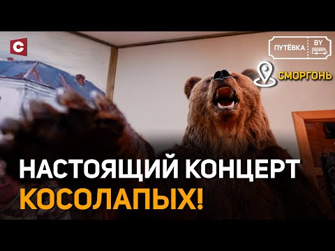Видео: Знаменитая МЕДВЕЖЬЯ АКАДЕМИЯ | Легендарные баранки | Сад камней | ПУТЁВКА BY