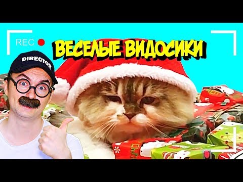 Видео: ВЕСЕЛЫЕ ВИДОСИКИ! 6 МИНУТ СМЕХА(ИЛИ НЕТ)