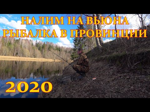 Видео: Налим на вьюна. Рыбалка в Ленинградской области. 2020г.