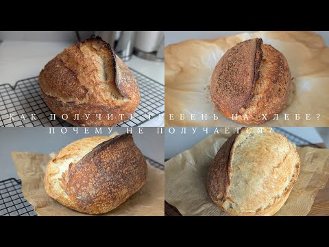 Видео: Почему не получается гребень на хлебе на закваске? Как получить?