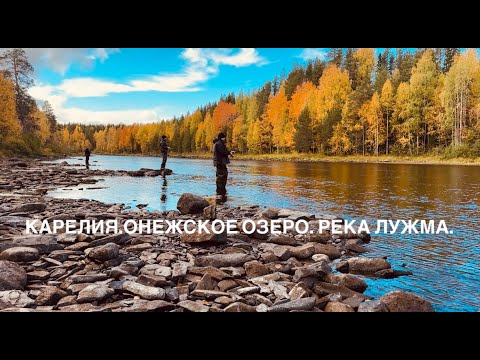 Видео: Рыбалка в Карелии. Онего. р Лужма.