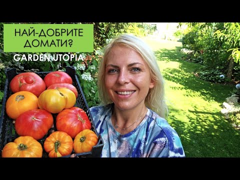 Видео: Най-добрите СОРТОВЕ ДОМАТИ?